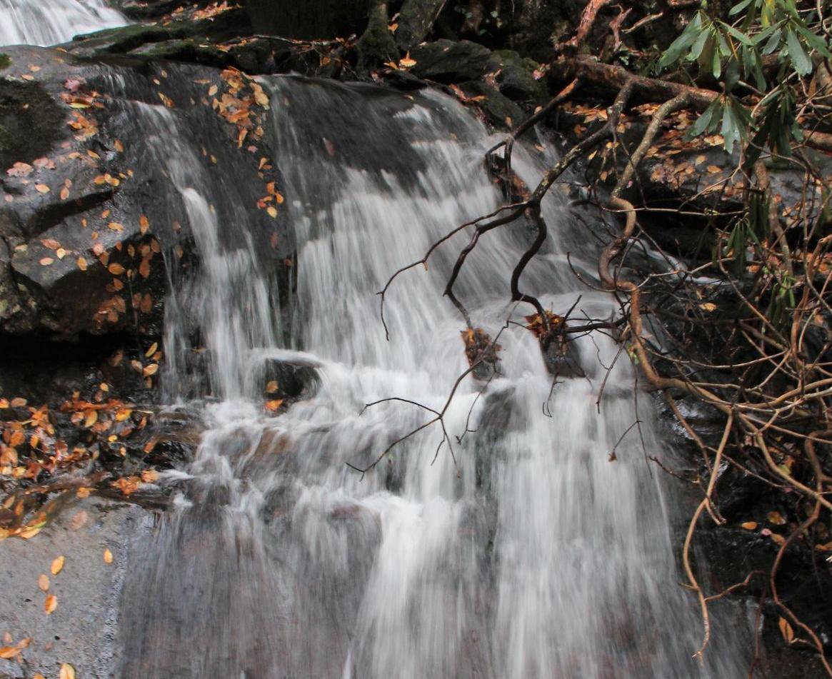 Laurel Falls.JPG